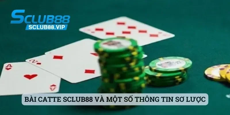 Bài catte Sclub88 và một số thông tin sơ lược