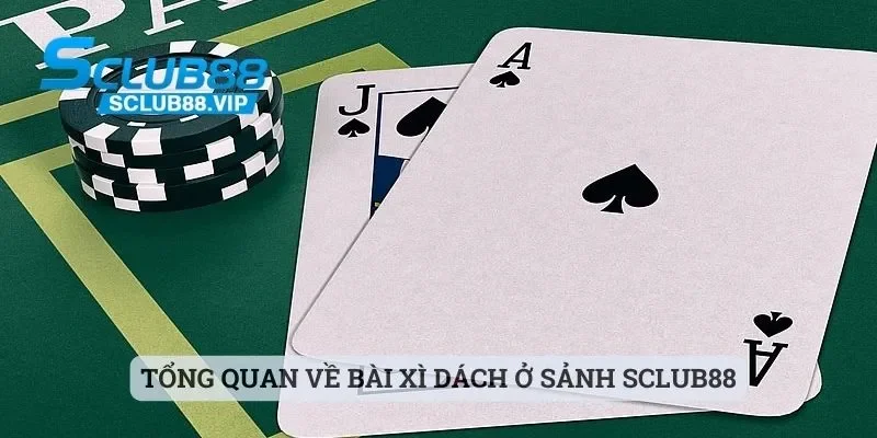 Tổng quan về bài xì dách ở sảnh Sclub88