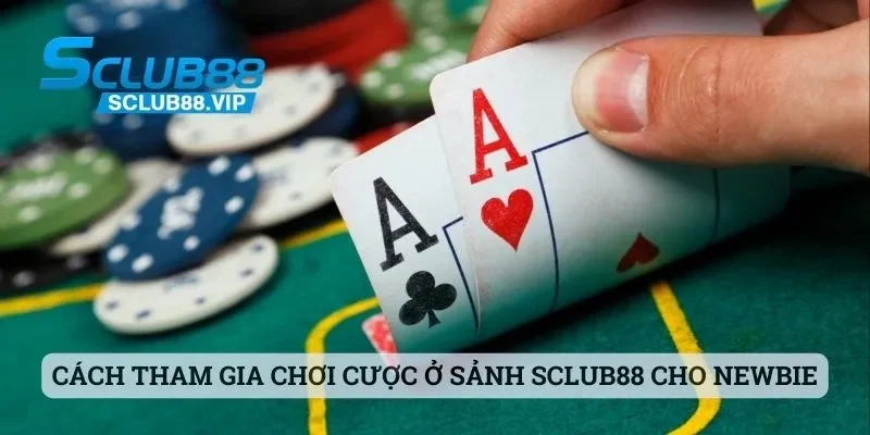 Sclub88 - Địa Chỉ Chơi Cá Cược Đầy Thú Vị Cho Mọi Bet Thủ 5 Cách tham gia chơi cược ở sảnh Sclub88 cho newbie tham khảo nhanh