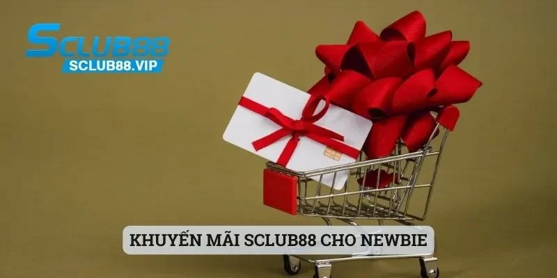 Khuyến mãi Sclub88 cho newbie