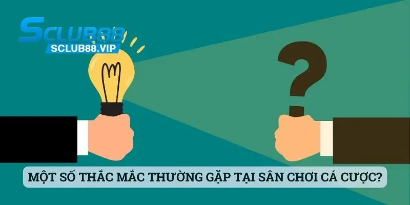 Sclub88 - Địa Chỉ Chơi Cá Cược Đầy Thú Vị Cho Mọi Bet Thủ 7 Một số thắc mắc thường gặp tại sân chơi cá cược hàng đầu?
